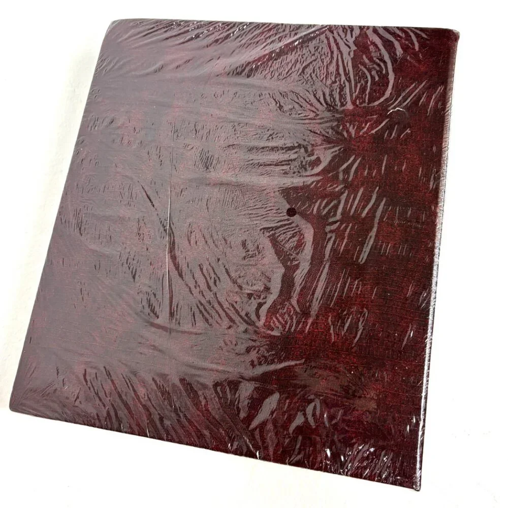 Pioneer Photo Album 100 Magnetic  Pages Self Stick 3 Ring Binder NWT